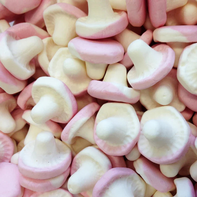 DULCEPLUS CHAMPIGNONS LISSE